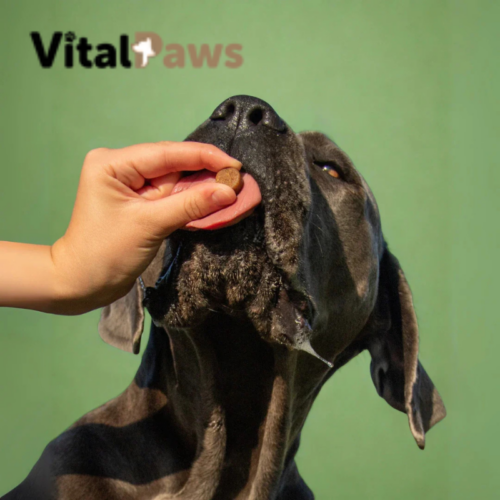 VitalPaws